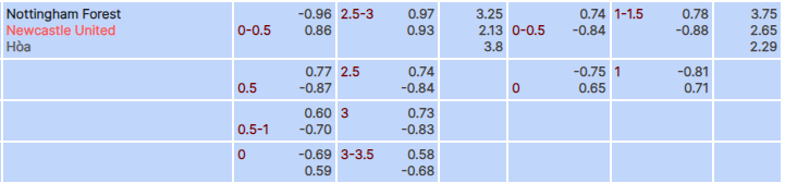 Tỷ lệ kèo Nottingham vs Newcastle